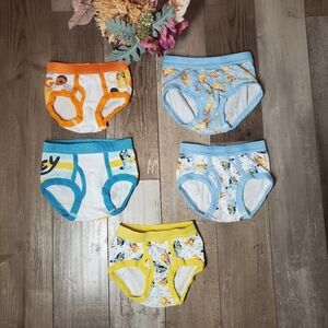 Bluey Boys 5 Pack Cotton Briefs Elasticized Waistband Size 4T NWOT Bluey Bingo